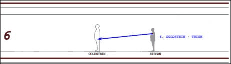 Bullet # 6 , Goldstein (Thigh, non-transiting)