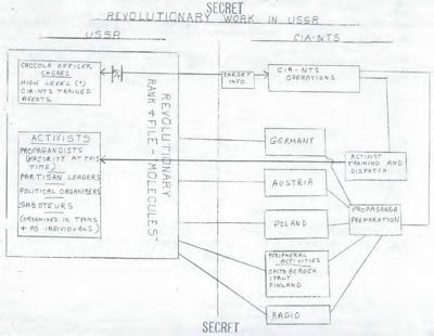 Flowchart of CIA-NTS relationship