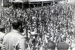 Cuba rallied against the Bay of Pigs invasion