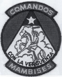 The emblem for Comandos Mambises