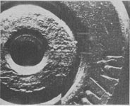 Warren Commission Exhibit 616, a photograph of the base of a bullet cartridge showing firing pin markings. Scanned from Warren Commission Volume XVII.